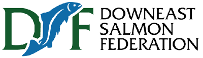 dsf-logo-001-400