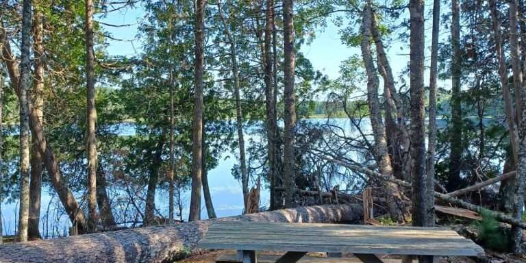 454617654_1270912761012129_8671203319083428280_n