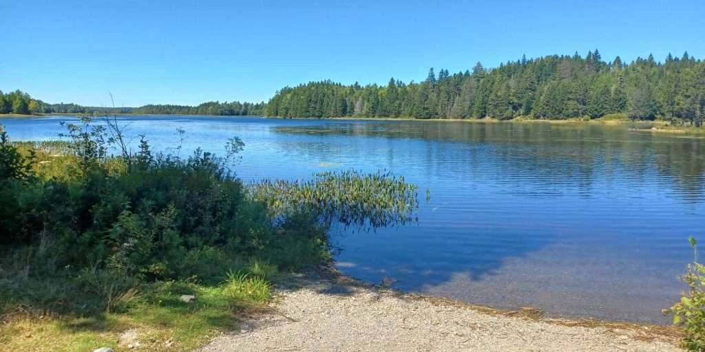 458434418_547806437591838_901035670367977363_n