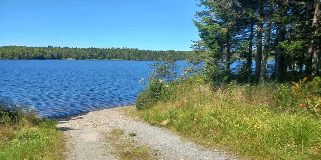 459027857_411116474956249_528851645981624311_n