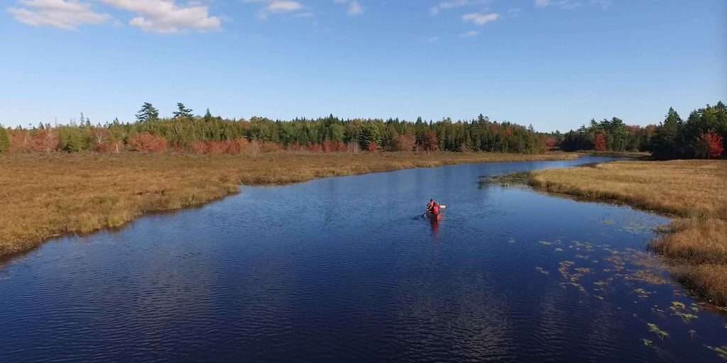 orwt-default-2023-03-03